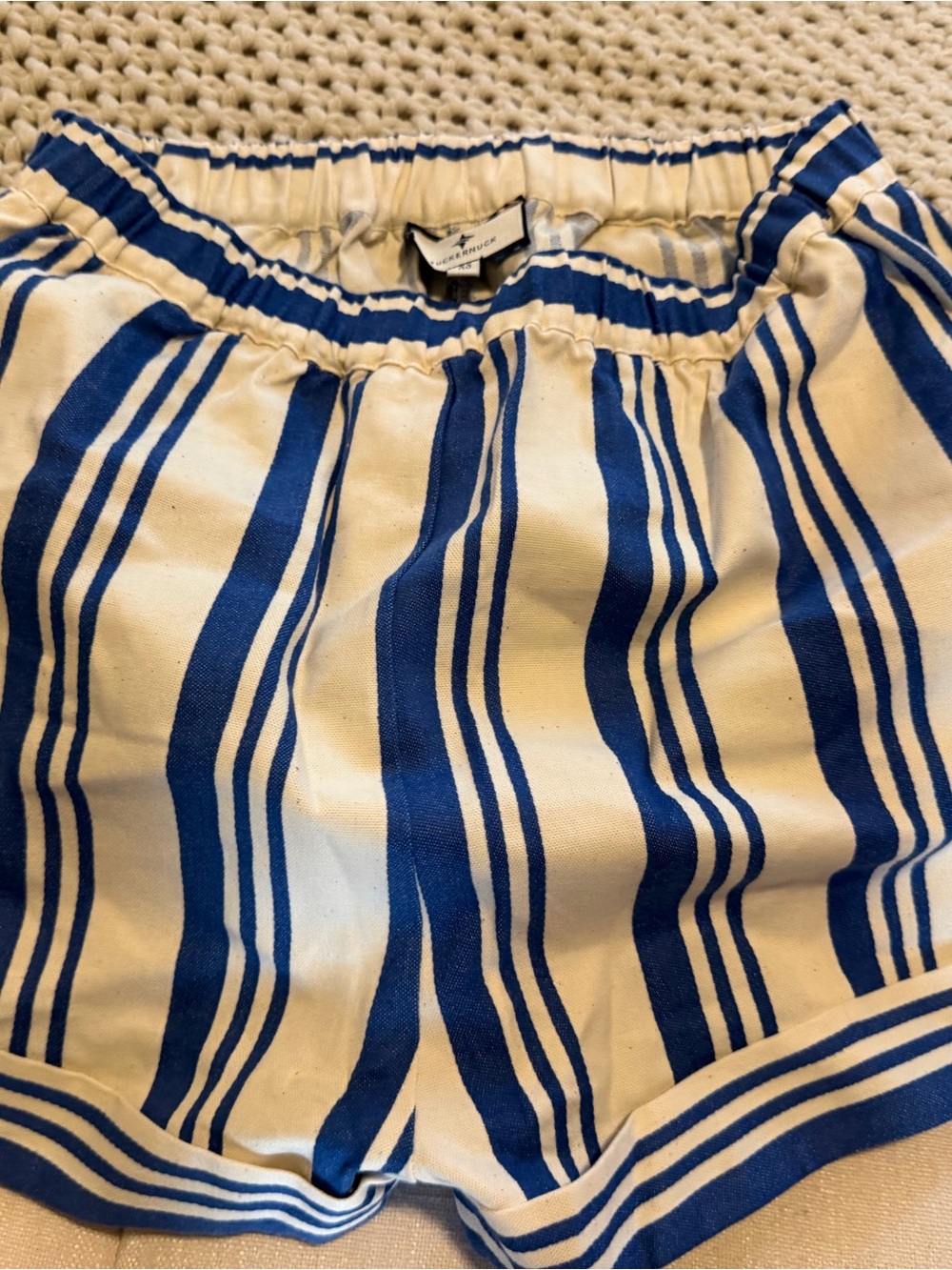 Tuckernuck Blue and Cream Striped Women's Shorts